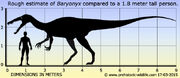 Baryonyx-size.jpg