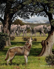 Dire-wolf-and-colombian-mammoths-mauricio-antonscience-photo-library