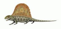 Dimetrodon milleri