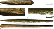 Projectile points made from mammoth ivory