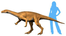 Bagualosaurus NT