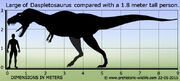 Daspletosaurus-size