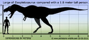 Daspletosaurus-size.jpg