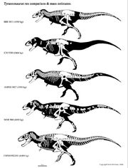 Tyrannosaurus mass