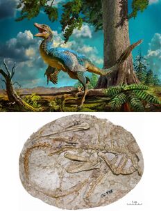 Daliansaurus liaoningensis-novataxa 2017-Shen-Lü-Liu-Kundrát-Brusatte-et-Gao paleoArt-Zhao Chuang