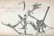 Pterodactylus macronyx NHMUK PV R 1034