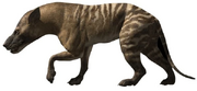 HyaenodonInfobox
