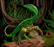 Compsognathus