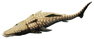 0u49593532-4f6ca6aa-238afcd4.png