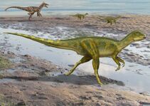 Hypsilophodon.jpg