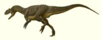 Walgettosuchus (1)