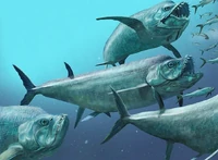 Ксифактинусы.png (850 КБ)