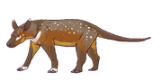 Anoplotherium commune quadrupedal