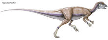 8063-050-5E678908.jpg