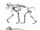 Theropithecus oswaldi