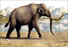 Steppe-mammoth.jpg