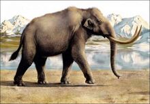 Steppe-mammoth