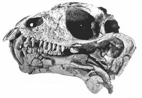 S02447423.jpg