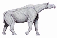 Indricotherium11.jpg (1,37 Мб) Indricotherium11