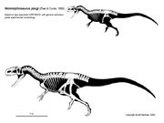 Monolophosaurus skeleton