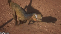 Аллозавр из документального фильма "Эра Динозавров"
