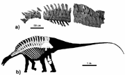 Brachytrachelopan