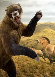 Arctotherium-angustidens-v0-yqe8cej0h2ud1