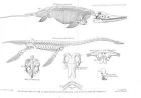 Conybeare-1824 plateXLIX