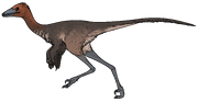 Hypnovenator matsubaraetoheorum