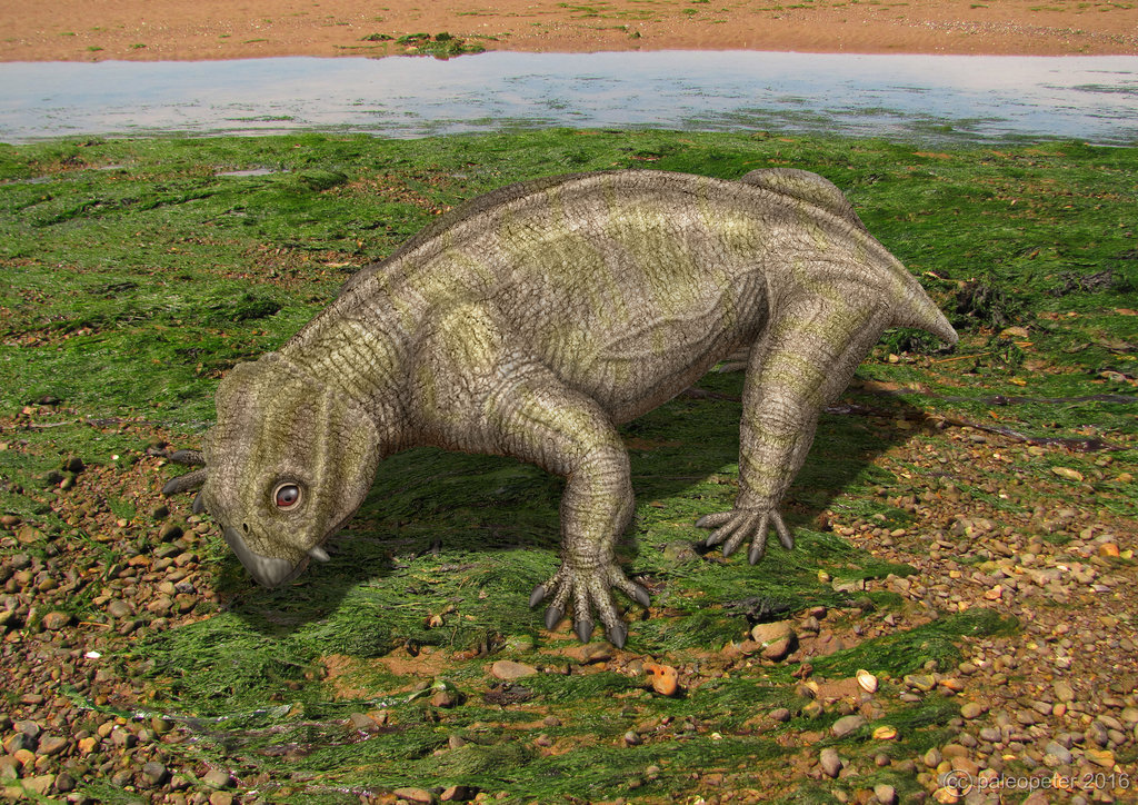 Пресмыкающиеся пермского. Листрозавр Триасового периода. Дицинодонт листрозавр. Листрозавры (Lystrosaurus),. Листрозавр Пермского периода.