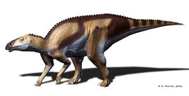 Kundurosaurus-NT