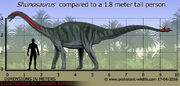 Shunosaurus-size