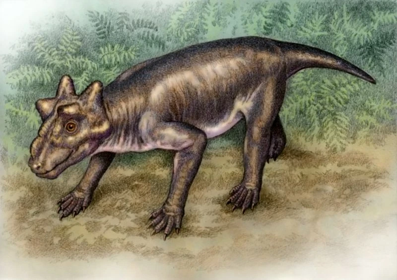 Пермский период млекопитающие. Цинодонты триасового периода. Звероящер иностранцевия. Пермский период млекопитающие. Терапсиды пермского периода.