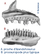Azendohsaurus1