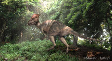 Pachycephalosaurus image