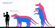 Anoplotherium size comparison chart