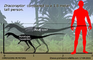 Dracoraptor-size