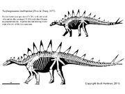 Tuojiangosaurus skeleton