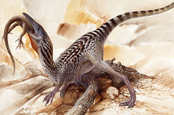 Compsognathus-1