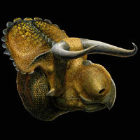 Nasutoceratops-1-m