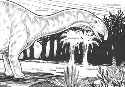 Trunked dicraeosaurid, illustrated in 1975 by Gregory Irons for the 1980 book All New Dinosaurs and Their Friends