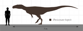 Duriavenator Size Comparison