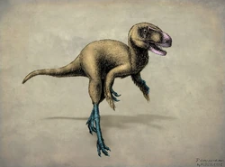 Автор: Дмитрий Токальчик.