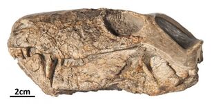 S00467686.jpg