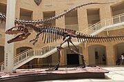 220px-Giganotosaurus at Fernbank