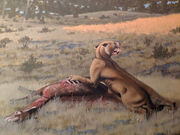 Image 9619e-Machairodus-lahayishupup