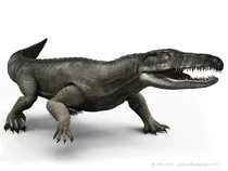 Протерозух3.jpg (80 КБ)