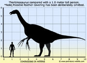 Therizinosaurus-size