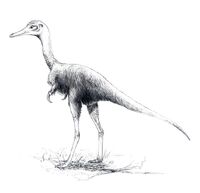 Alvarezsaurus calvoi by Andrewsarchus89 f00b