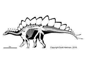 Stegosaurus